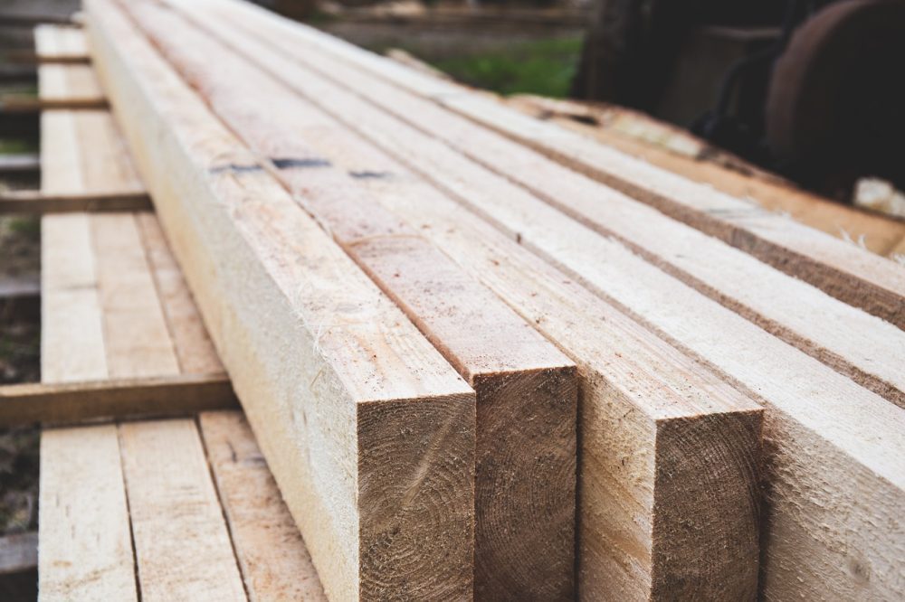 A study by the University of Bristol has called for a departure from using certified, locally sourced timber in construction and interior design