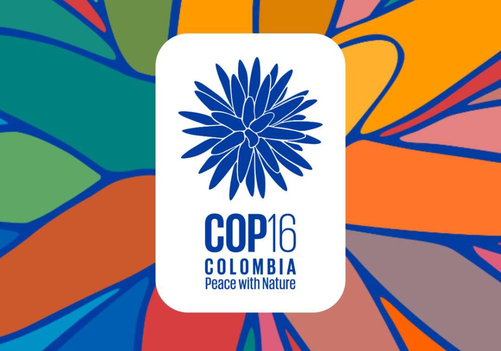 COP 16 will focus on improving biodiversity