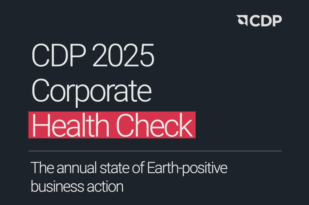 Just one in ten companies are embedding 'Earth-positive decision-making' into their business models, a new report by CDP, in association with Oliver Wyman and the World Economic Forum has found.
