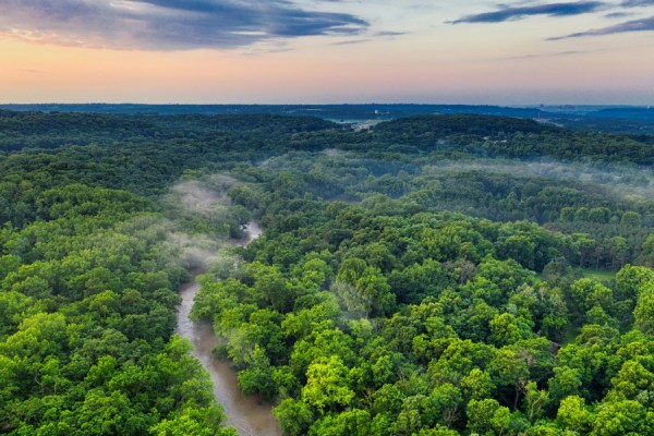 Silvania, in partnership with Conservation International and The Nature Conservancy, has announced the launch of the 'Race to Belém' – an initiative to drive private-sector investment to protect the Brazilian rainforest.