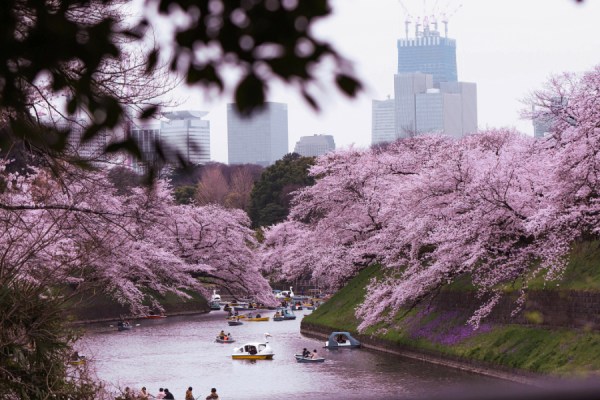 Japan's climate target of reducing emissions to 60% below 2013 levels by 2035 has been described as ‘unacceptably low’ by representative group 350.org