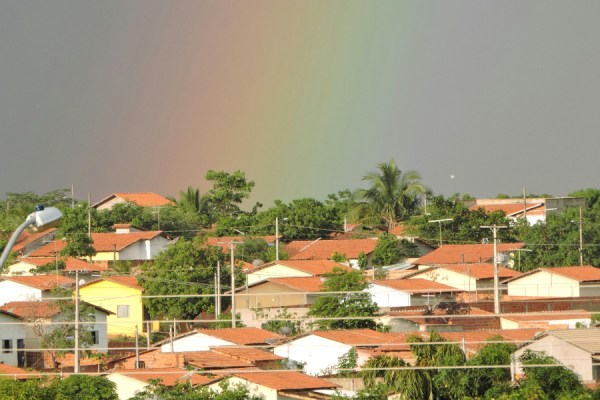 Silvania, which along with Conservation International and The Nature Conservancy, recently unveiled the Race to Belém initiative, has announced a new forest restoration project in the Brazilian state of Tocantins.