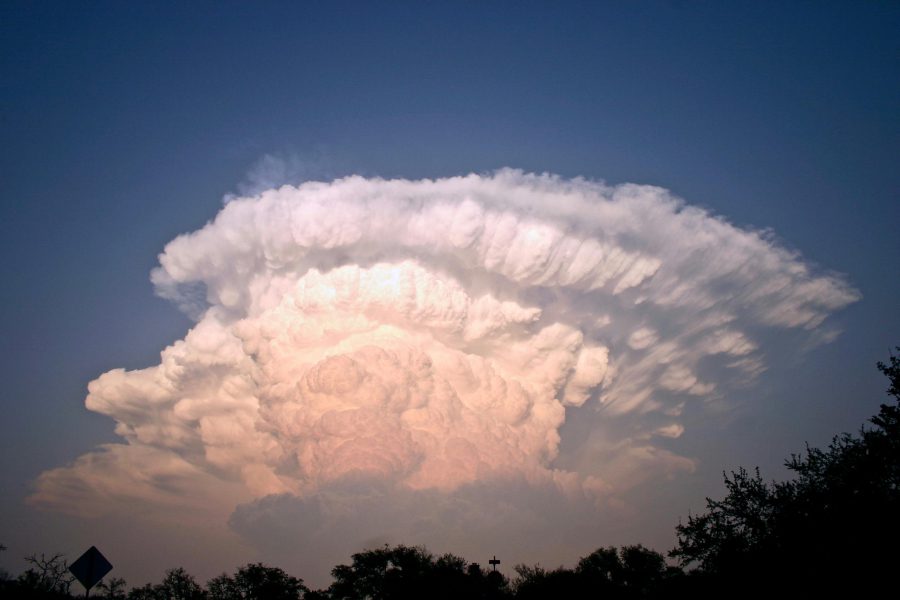 January 2025 was the warmest January on record, globally, with an average surface air temperature of 13.23°C, 0.79°C above the 1991-2020 average, new data from the Copernicus Climate Change Service (C3S) has revealed.