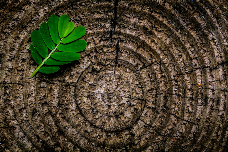 ESG reporting is becoming even more standardised and regulated, particularly in Europe, with stricter disclosure requirements to ensure greater transparency, comparability, and accountability in sustainability claims.