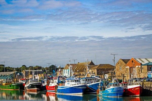 Ireland's aquaculture sector – specifically the salmon, rope mussel and oyster segments – has demonstrated a 'good environmental performance', BIM, Ireland's seafood development agency has said.