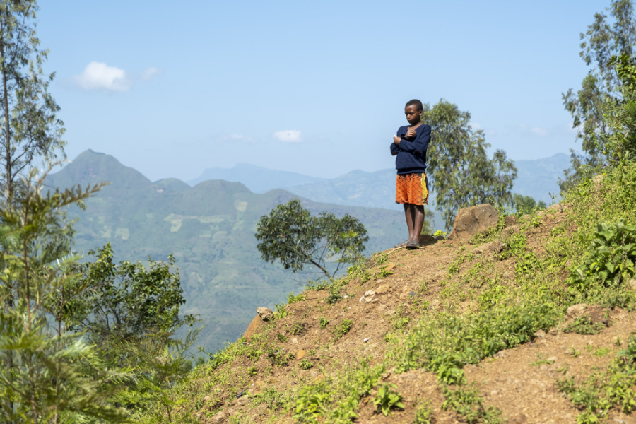 A major new carbon and biodiversity project in Ethiopia has 'established a new benchmark for the voluntary carbon market', Berlin-based startup goodcarbon has said.