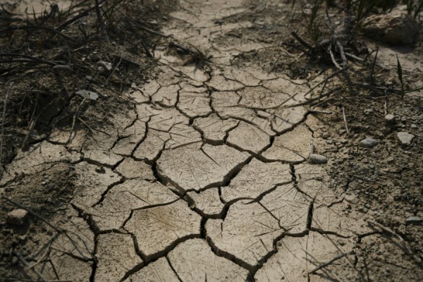 Last year was the first calendar year with a a global mean near-surface temperature more than 1.5°C above pre-industrial levels, with an average temperature of 1.55°C, the World Meteorological Organization (WMO) has said.