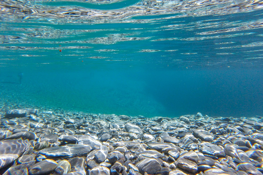 The WWF has called on governments to pause deep seabed mining due to its environmental risks, and has published a report outlining the impact that the practice has on the marine environment.