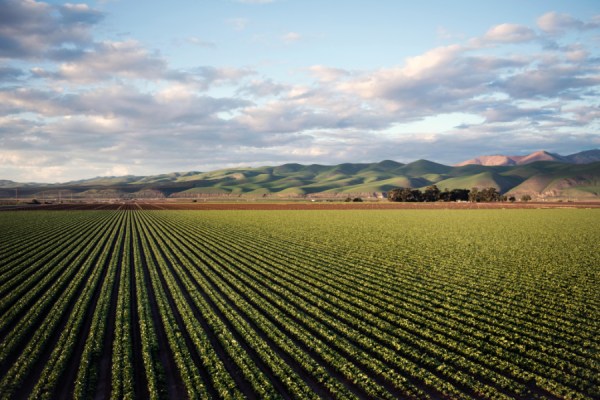 The impact of climate change, coupled with a drop-off in investment in research and development, is leading to a slowdown in productivity in the US agriculture sector,