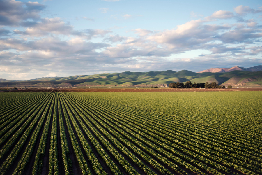 The impact of climate change, coupled with a drop-off in investment in research and development, is leading to a slowdown in productivity in the US agriculture sector,