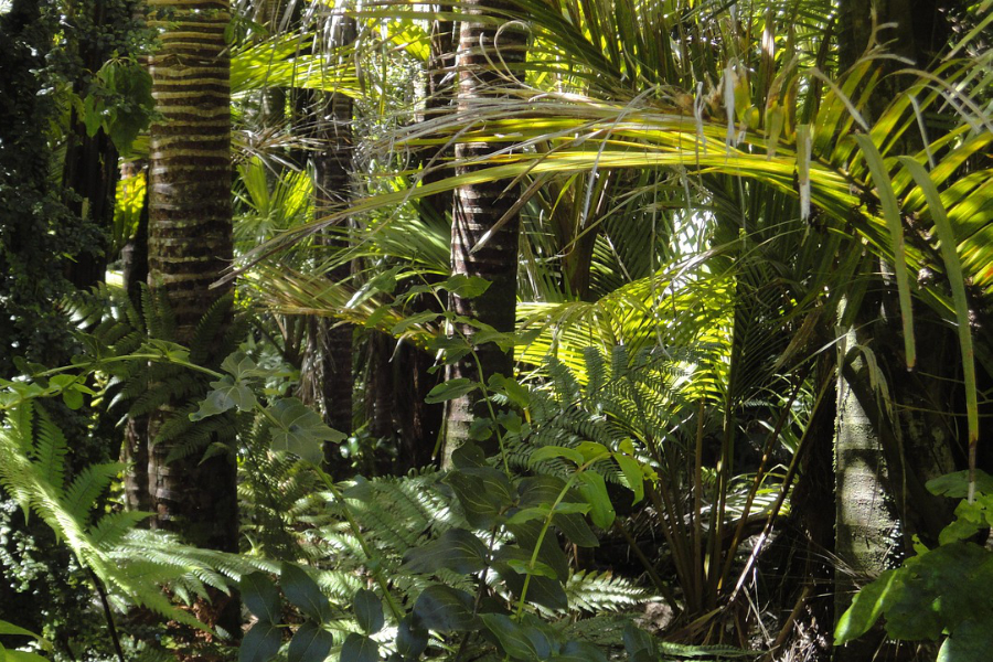 The forthcoming COP30 climate change conference in Brazil should aim to rebuild 'trust in climate diplomacy' by distancing itself from fossil fuel interests, an open letter on the openDemocracy platform has said.