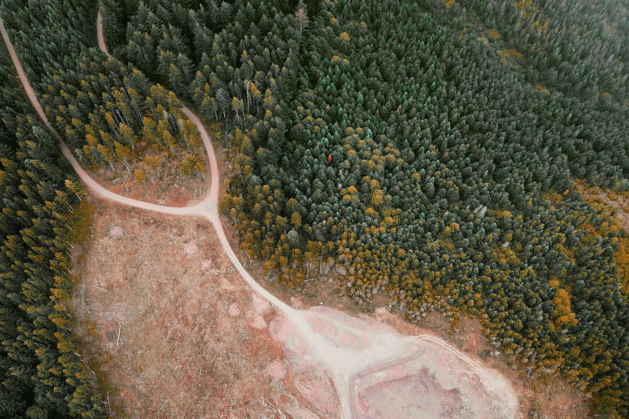 The European Commission is 'leaving the back door wide open' to products sourced from recently deforested or degraded land and/or grown illegally in protected areas through its designation of 'high risk' and 'low risk' countries under the EU Deforestation Regulation (EUDR), Mighty Earth has said.