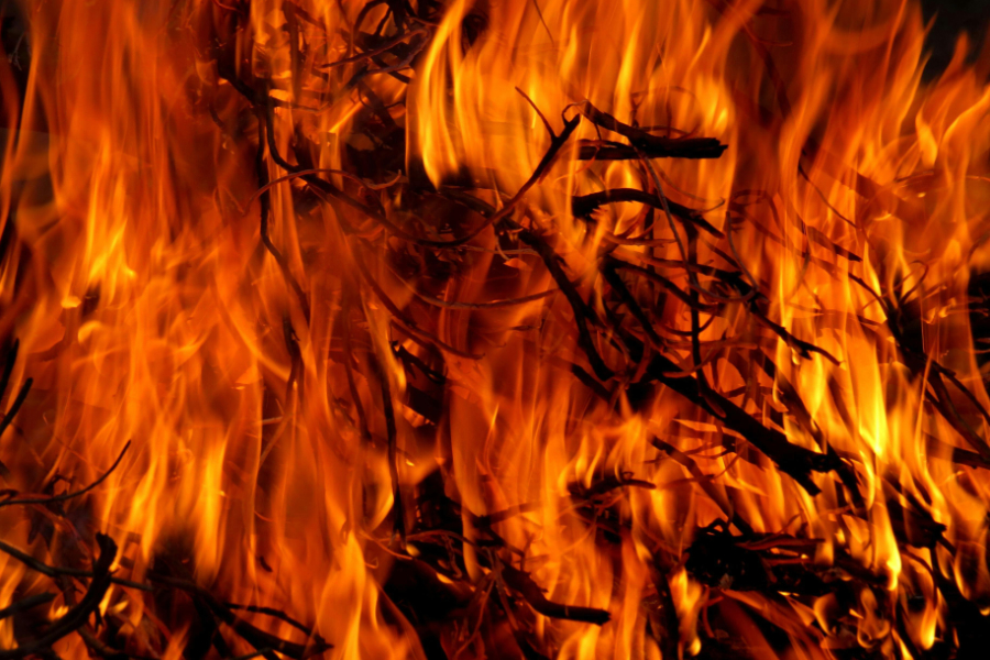 Wildfire activity in Europe this summer was at its highest level of any year recorded in the Copernicus Atmosphere Monitoring Service (CAMS) dataset, which covers the last 23 years.