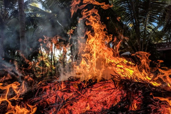 Every $1 invested in climate adaptation and resilience generates more than $10 in benefits over the coming decade, a new study by the World Resources Institute has found.