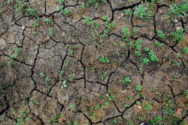A new report launched by the United Nations Convention to Combat Desertification (UNCCD) and the U.S. National Drought Mitigation Center (NDMC) has detailed the impact of droughts around the world between 2023 and 2025, describing them as among the 'most widespread and damaging drought events in recorded history'.