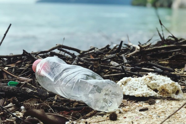 The market for global recycled ocean plastics is expected to be worth around $1.93 billion this year, and could be worth as much as $3.5 billion by 2034, a new report by Custom Market Insights has found.