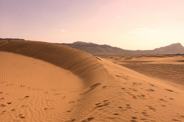 The frequency of Saharan dust storms over Europe and the North Atlantic has been high in the year to date, with dust plumes affecting air quality in areas ranging from northern Europe to the Caribbean, the Copernicus Atmosphere Monitoring Service (CAMS) has said.