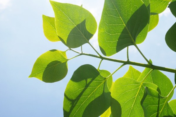 Some 223 global financial institutions, representing nearly $23 trillion in assets, have called on over 1,300 firms to disclose environmental data through CDP this year, as part of its annual financial institution-led Non-Disclosure Campaign (NDC).