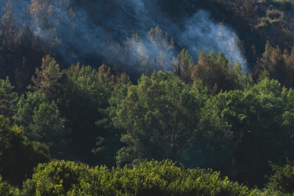 The Copernicus Atmosphere Monitoring Service (CAMS) has reported 'significant' wildfire activity in North America and Europe during June and July.