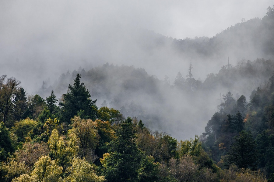 Nature-based climate solutions (NbCS) are currently 'falling short', and need to be restructured in order to work more effectively, a new study led by researchers from the University of Utah, University of California Santa Barbara, and other institutions has found.