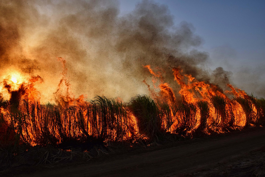 A surge in wildfires across the Iberian Peninsula has pushed Spain's cumulative wildfire carbon emissions to their highest level since 2003, according to the Copernicus Atmosphere Monitoring Service (CAMS).