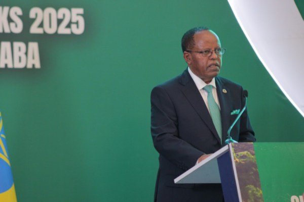 The forthcoming COP30 climate change conference will play a key role in ensuring that Africa is able to 'supercharge climate action',