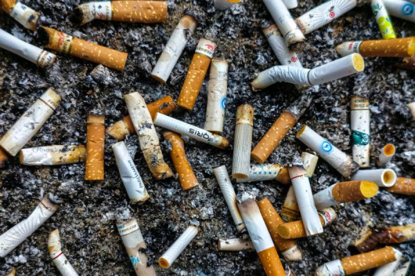 Cigarette butts and chewing gum remain the top constituent elements of litter pollution in Ireland, according to the latest results from the National Litter Pollution Monitoring System (NLPMS), which tracked the extent of litter pollution across the country in 2024.