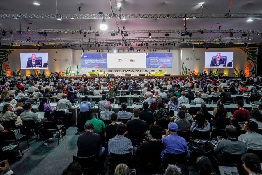 Foto: Rafa Neddermeyer/COP30 Brasil Amazônia/PR