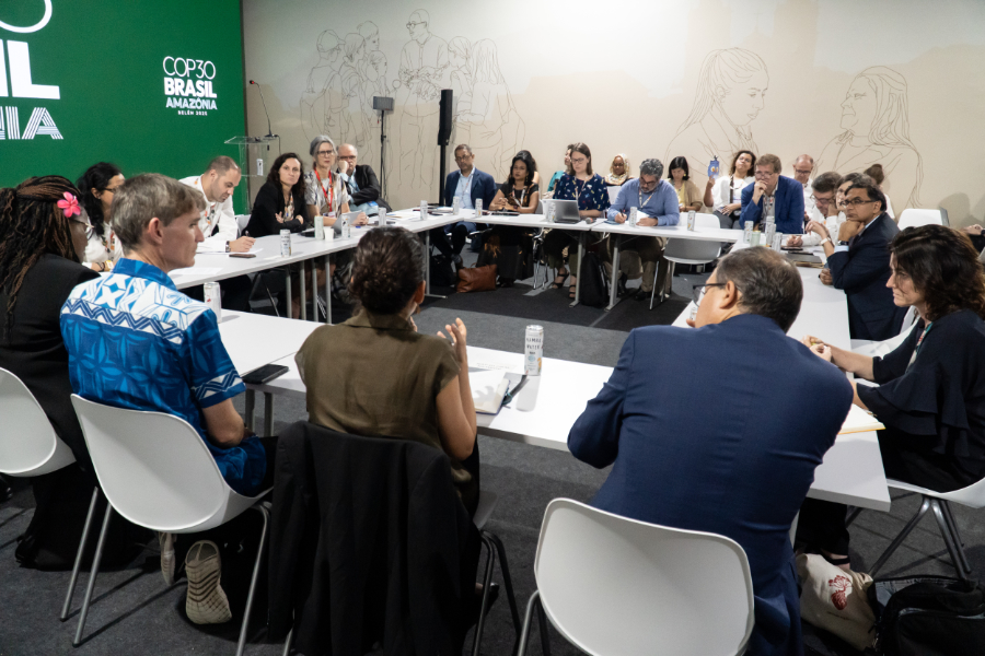 The COP30 Presidency, alongside the United Nations Development Programme (UNDP) and the governments of Germany and Italy, have launched the Alliance for the Implementation of National Adaptation Plans (NAPs).