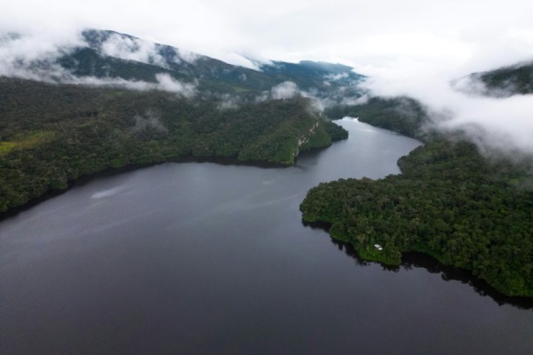 The Inter-American Development Bank (IDB) has issued its first 'Amazonia Bond', raising $100 million to support sustainable development projects across the Amazon region.