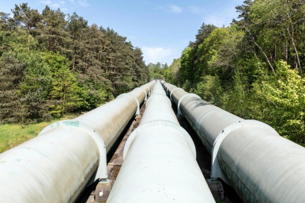 Sourcing suitable CO₂ feedstock for Europe's growing e-fuels sector is likely to face challenges in the future without the right investment, a new report by Transport & Environment (T&E) has suggested.