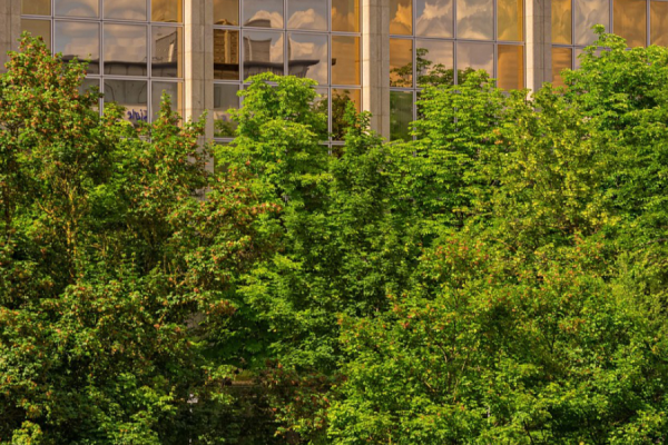 A new report by carbon-removal specialist Arbonics analyses the level to which tech giants are integrating nature restoration into their data centre strategies