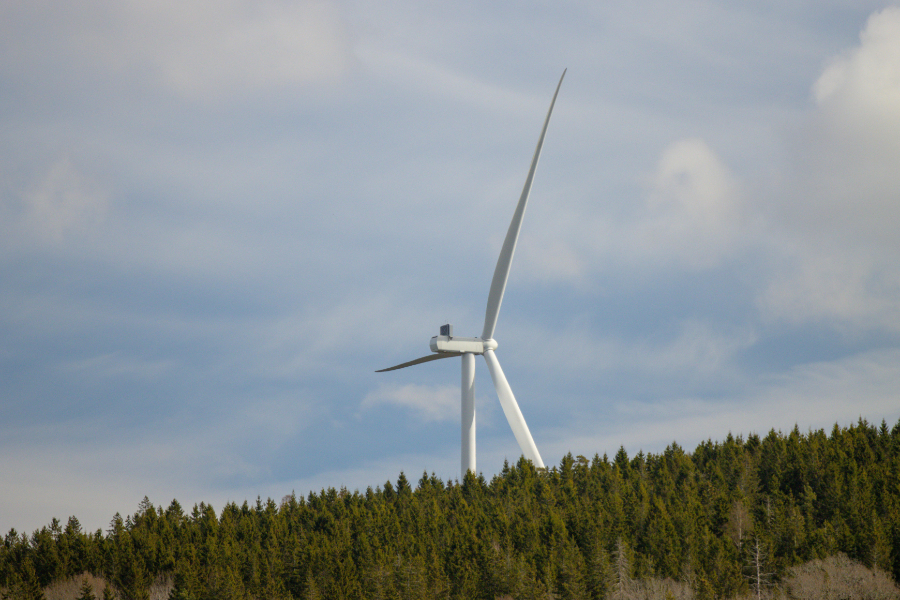 Some 25.2% of the EU's gross final energy consumption came from renewable sources in 2024, a 0.7-percentage-point rise on the previous year, new data from Eurostat has shown.