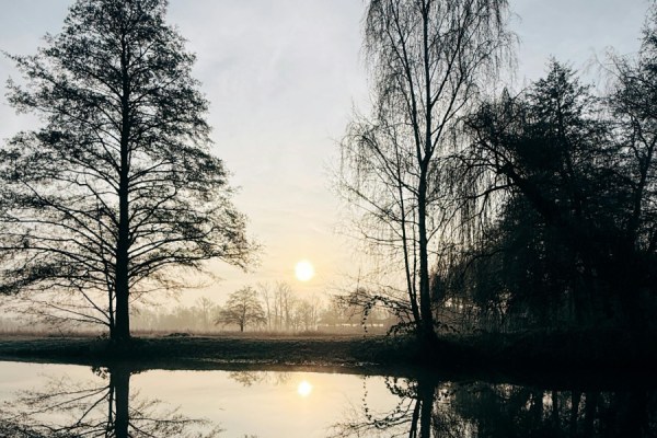 2025 is poised to be the joint-second warmest year on record, alongside 2023, according to new data from the Copernicus Climate Change Service (C3S).