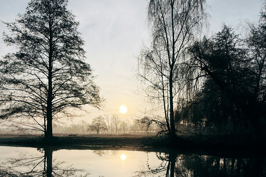 2025 is poised to be the joint-second warmest year on record, alongside 2023, according to new data from the Copernicus Climate Change Service (C3S).