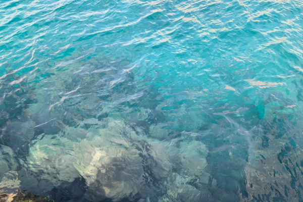 A new study has found that the decommissioning and recovery of submarine telecommunications and power cables tends to have a 'short-lived' impact on the environment, with any impact generally located in the immediate area where cables are situated.