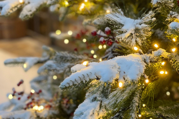 The team at SustainabilityOnline would like to wish all our readers a very Happy Holidays – and we can't wait to bring you all the latest news and insight from the corporate sustainability world in 2026.