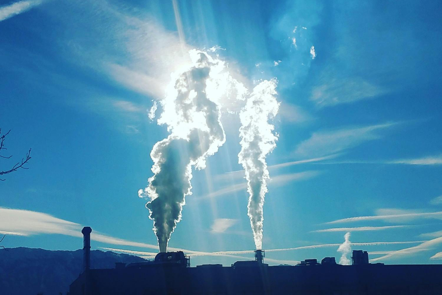 Carbon reporting methods used by companies often overlook or undercount emissions from their supply chains – adding up to billions of tonnes of missed emissions on an annual basis, a new Stanford-led study has suggested.