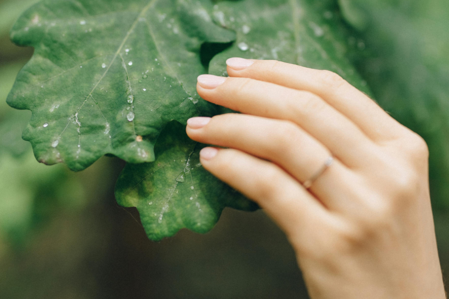Climate policies that target individual lifestyle changes – such as banning cars from city centres – can unintentionally weaken public support for environmental actions, a new study published in the Nature Sustainability journal has found.