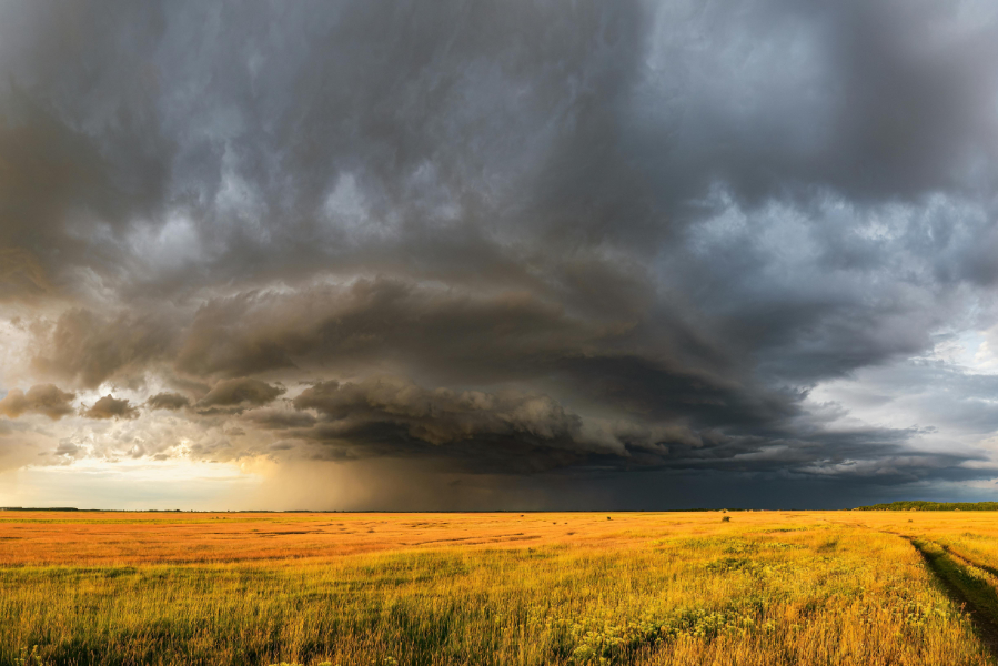 Despite its relative self-sufficiency, extreme weather events are increasingly putting pressure on the US agricultural system, particularly in terms of interstate trade, a study by the University of Illinois Urbana-Champaign has suggested.