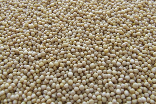 The decision by member companies of ABIOVE (the Brazilian Association of Vegetable Oil Industries) to quit the soy moratorium, which bans signatories from purchasing soy grown on deforested Amazon land, is a 'serious and unjustifiable setback for the private sector and for Brazil', WWF Brasil has said.