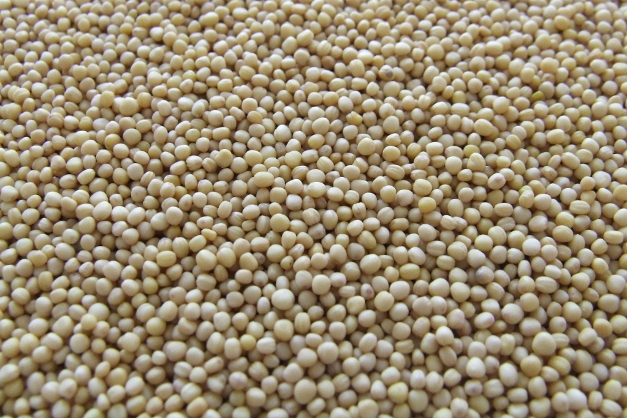 The decision by member companies of ABIOVE (the Brazilian Association of Vegetable Oil Industries) to quit the soy moratorium, which bans signatories from purchasing soy grown on deforested Amazon land, is a 'serious and unjustifiable setback for the private sector and for Brazil', WWF Brasil has said.