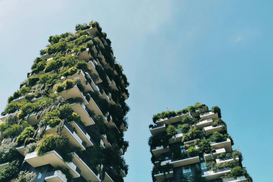 Some 877 companies have earned a place on CDP's 2025 Corporate 'A List', with 23 firms achieving a 'Triple A' ranking for leadership across climate change, forests and security.