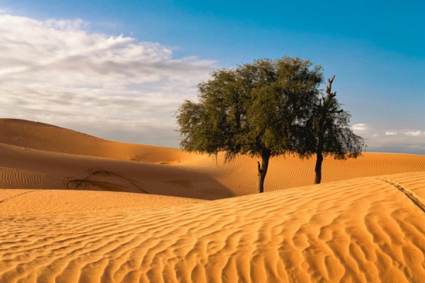 2025 was the third-warmest year on record, with global temperatures from the past three years (2023–2025) averaging more than 1.5°C above pre-industrial levels, new data from the Copernicus Climate Change Service (C3S) has found.