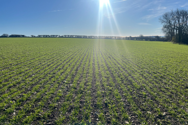 A Healthier Earth and Cefetra, in partnership with the UK Agri-Tech Centre and the UK Centre for Ecology and Hydrology (UKCEH), have been awarded £1.34 million in funding from DEFRA’s Farming Innovation Programme, which will fund a three-year project to develop a biogenic low-carbon fertiliser.