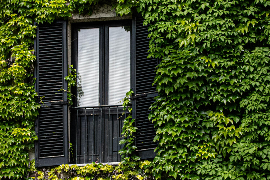 'Living walls', structures comprised of flowers and plants that are affixed to the outside of commercial buildings, can play a 'significant role in boosting urban biodiversity,