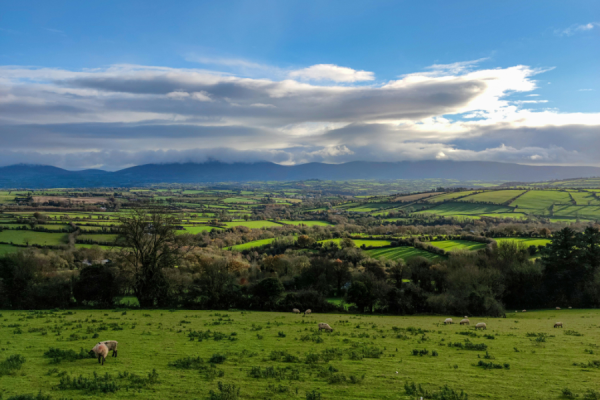 Ireland's Environmental Protection Agency (EPA) has announced €6.5 million in funding for 24 new projects addressing climate and environmental policy issues.
