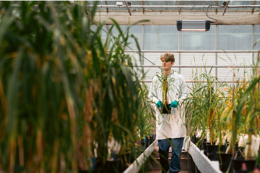 Carlsberg Group has announced the launch of 'Brewing Tomorrow', its new framework for sustainability actions, which replaces the Danish brewer's previous strategy, 'Together Towards ZERO & Beyond'.