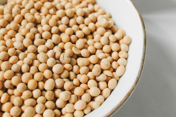 The UK Soy Manifesto has called for 'urgent action and immediate dialogue' following the news that global soy traders, and their representative body, ABIOVE, have withdrawn from the Amazon Soy Moratorium (ASM).