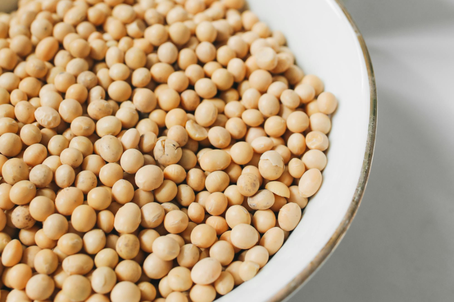 The UK Soy Manifesto has called for 'urgent action and immediate dialogue' following the news that global soy traders, and their representative body, ABIOVE, have withdrawn from the Amazon Soy Moratorium (ASM).